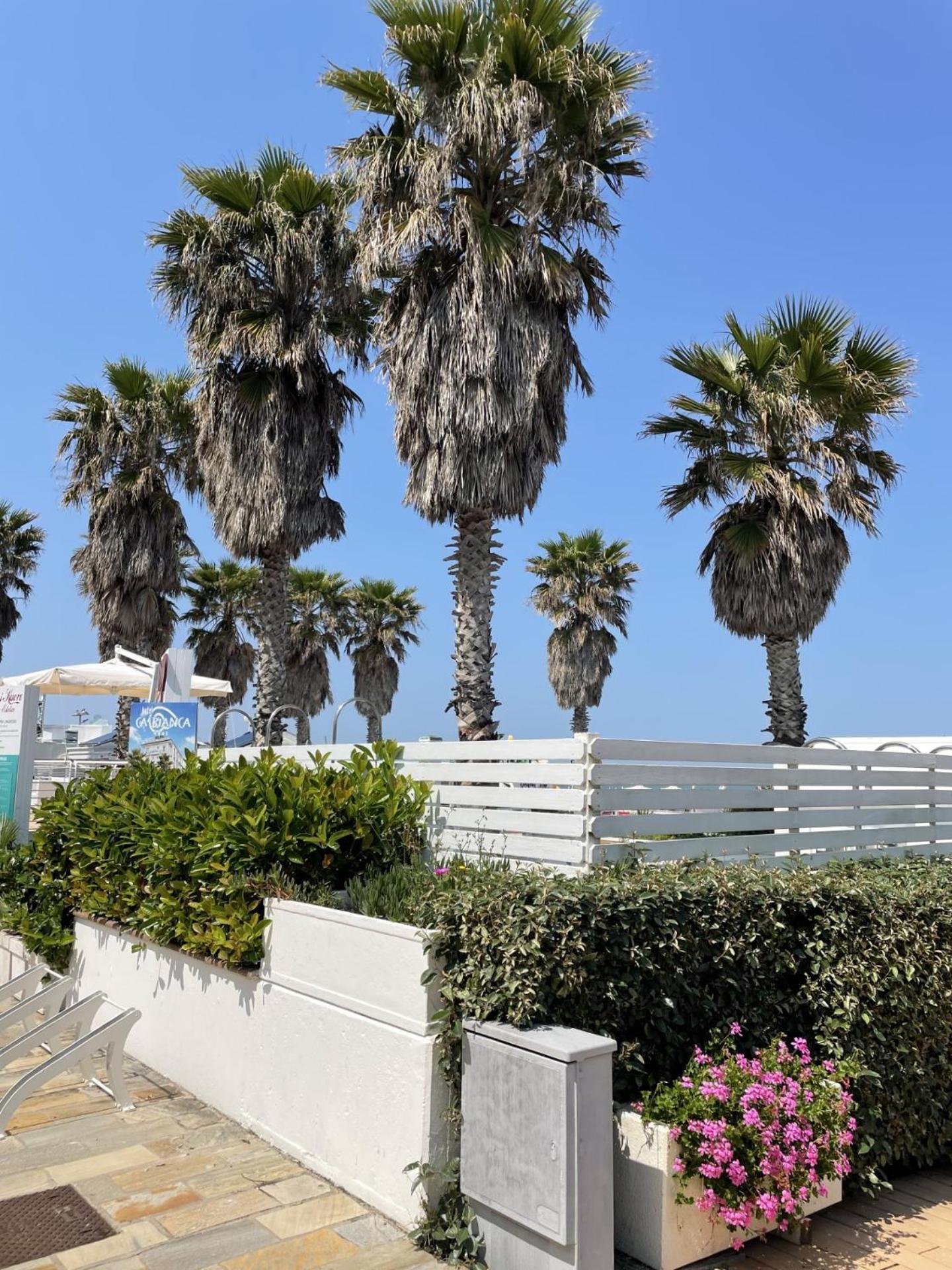 Hotel Napoleon Riccione Exterior photo
